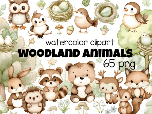 65 PNG Woodland Animals Watercolor Illustrations Review