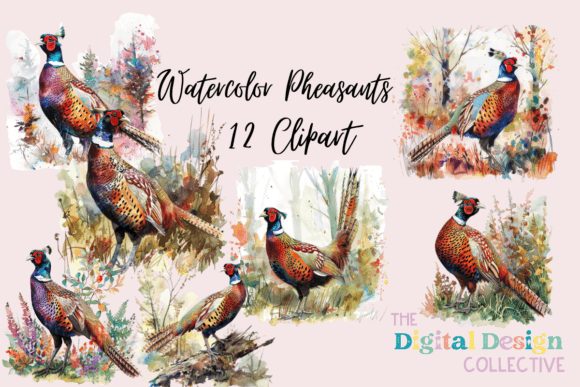 Pheasant Bird Illustration Watercolor for Brand Illustrations