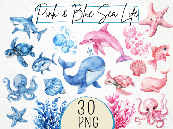 Watercolor Blue Pink Sea Life Illustrations