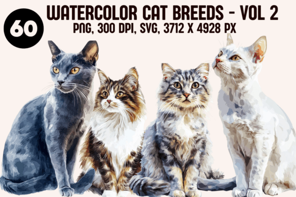 Watercolor Cat Breeds – Volume 2 Illustrations Review