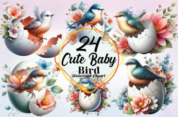 Watercolor Cute Baby Bird Clipart Bundle Freebies Review