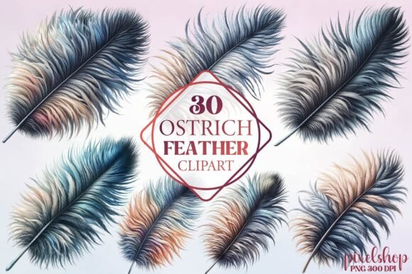 Watercolor Ostrich Feather Clipart: An Embroidery Review